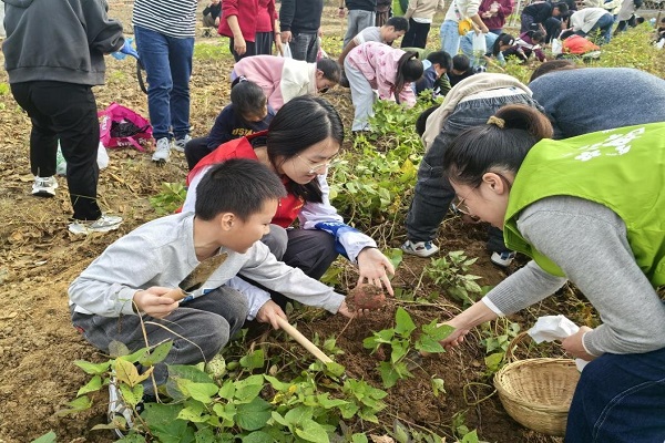 八坼街道農(nóng)創(chuàng)村豐收季研學(xué)活動：讓青少年親近自然與農(nóng)事.jpg